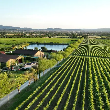 Il Palazzo - Agriturismo, Winery