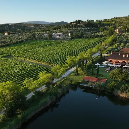 Il Palazzo - Agriturismo, Winery * أريتسو