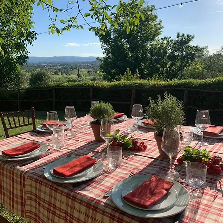 مزرعة للإقامة Il Palazzo - Agriturismo, Winery